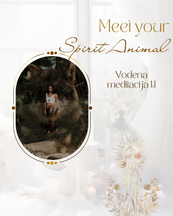 Meet your Spirit Animal - Vodena meditacija 1:1